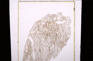 Plane Polarized, E28423