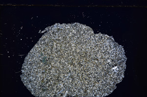 Cross Polarized, E28437