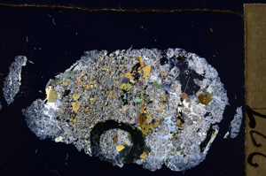 Cross Polarized, E28441