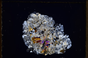 Cross Polarized, E28442