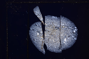 Cross Polarized, E28476