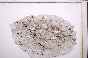 Plane Polarized, E28480