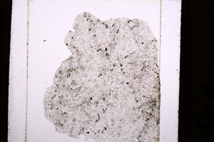 Plane Polarized, E28495