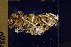 Cross Polarized, E28541