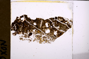 Plane Polarized, E28541