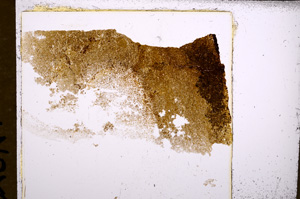 Plane Polarized, E28542