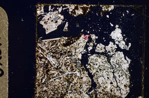 Cross Polarized, E28558