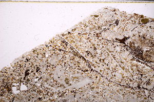 Plane Polarized, E28634