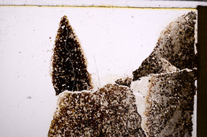 Plane Polarized, E28636