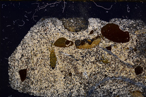 Cross Polarized, E28662