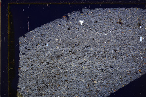 Cross Polarized, E28707