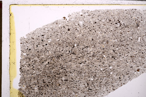 Plane Polarized, E28707