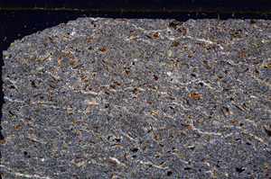 Cross Polarized, E28708