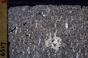 Cross Polarized, E28709