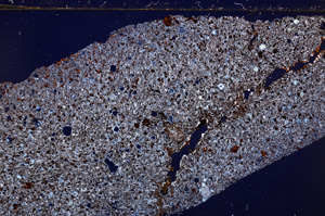 Cross Polarized, E28711