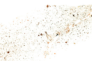 Plane Polarized, E28711