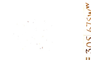 Plane Polarized, E28813