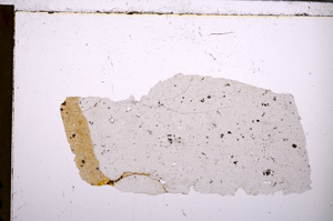 Plane Polarized, E28818
