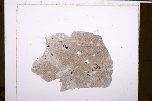 Plane Polarized, E28877