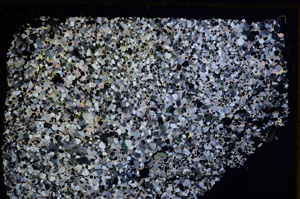 Cross Polarized, E28882