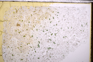 Plane Polarized, E28882