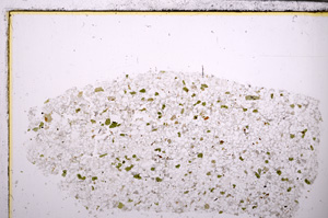 Plane Polarized, E28883