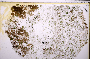 Plane Polarized, E28886