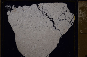 Cross Polarized, E28889