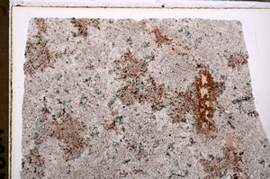Plane Polarized, E28899
