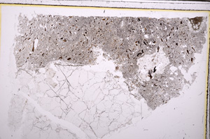 Plane Polarized, E28900