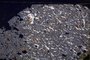 Cross Polarized, E28901