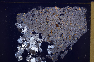 Cross Polarized, E28902