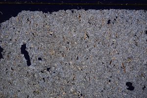 Cross Polarized, E28903