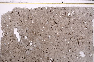 Plane Polarized, E28903