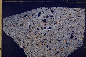 Cross Polarized, E28904