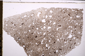 Plane Polarized, E28904