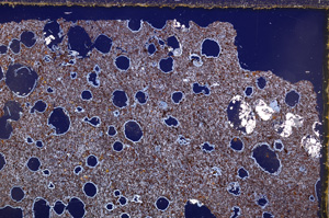 Cross Polarized, E28909