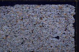 Cross Polarized, E28912