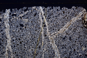 Cross Polarized, E28915