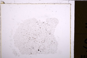 Plane Polarized, E28938