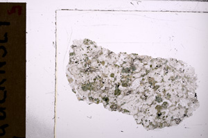 Plane Polarized, E28939