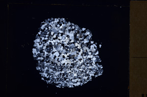 Cross Polarized, E28944