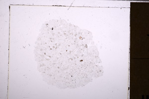 Plane Polarized, E28944