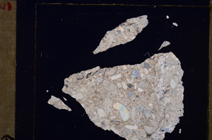 Cross Polarized, E28957