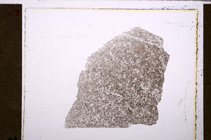 Plane Polarized, E28967