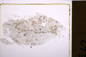 Plane Polarized, E28968