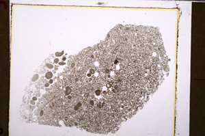 Plane Polarized, E28969