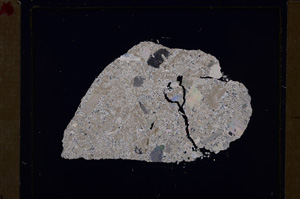 Cross Polarized, E28973