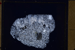 Cross Polarized, E28976