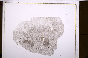 Plane Polarized, E28976